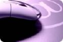 Website Design Services
